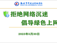 拒绝网络沉迷，倡导绿色上网 ——开发区实验学校开展预防学生沉迷网络主题教育活动