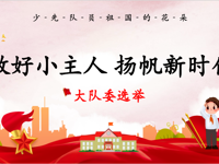 做好小主人，扬帆新时代！——海安市开发区实验学校小学部新一届大队委选举圆满举行